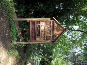 Nova urejena pot v Krajinskem parku Rački ribniki-Požeg 15